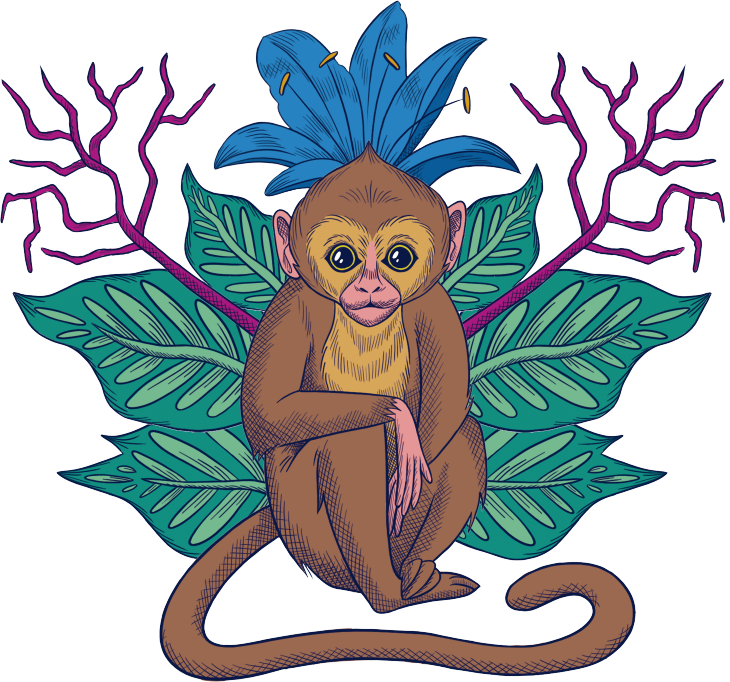 monkey 3